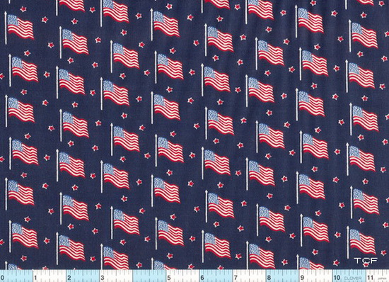 USA Flags on Navy Stars